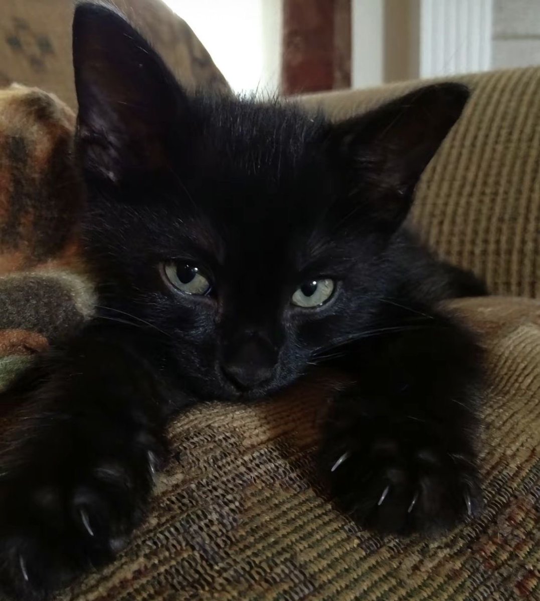 ؘ (@stvrgirvl) on Twitter photo 