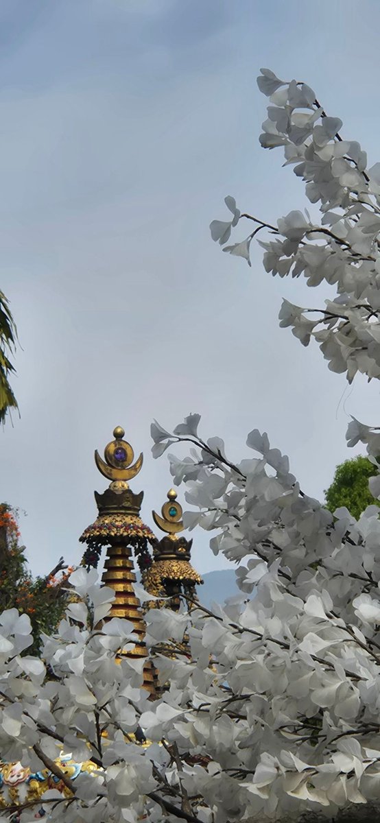 Remco Ploem tweet media