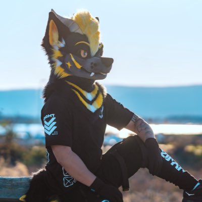 ✨ Lyte ✨ tweet media