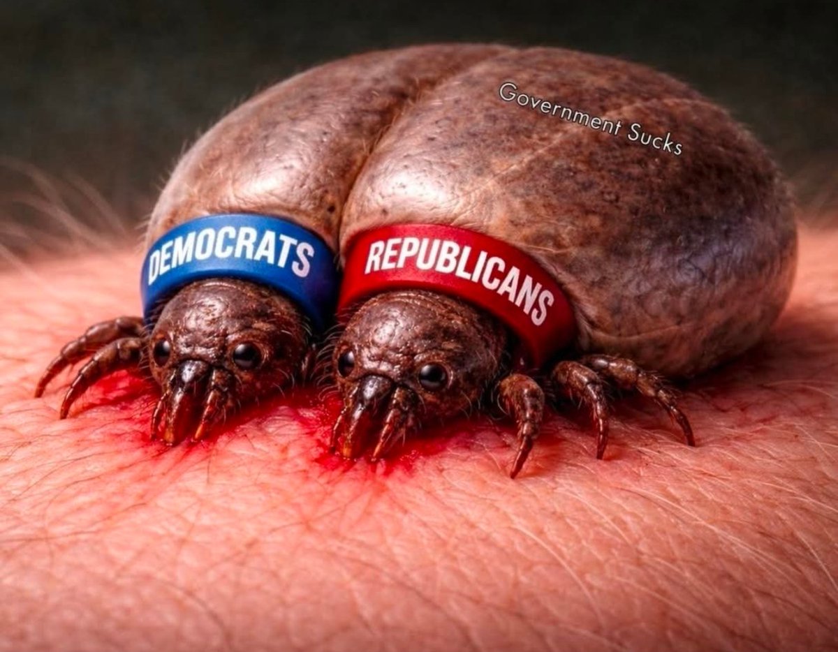 Libertarian Party tweet media