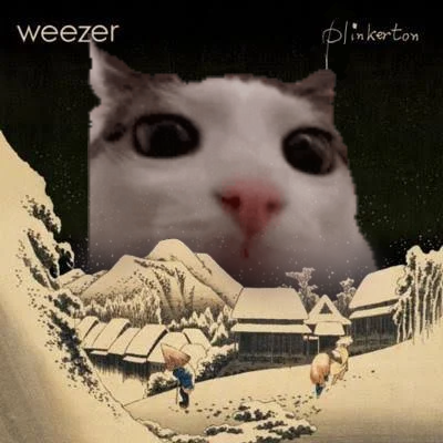 Tia Matto 🎤🐉【Vsinger】 tweet media