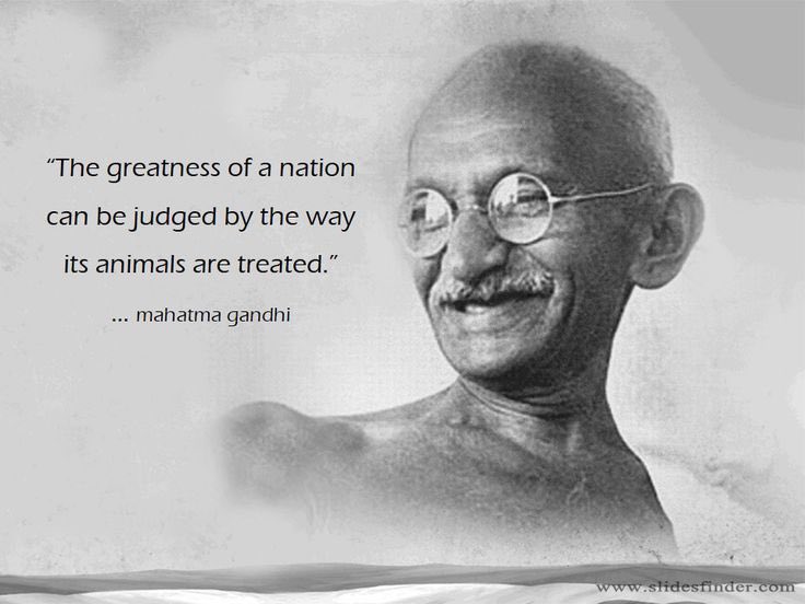 🐈💵🥦///fährenheit\\\🍊🐒🦅 tweet media