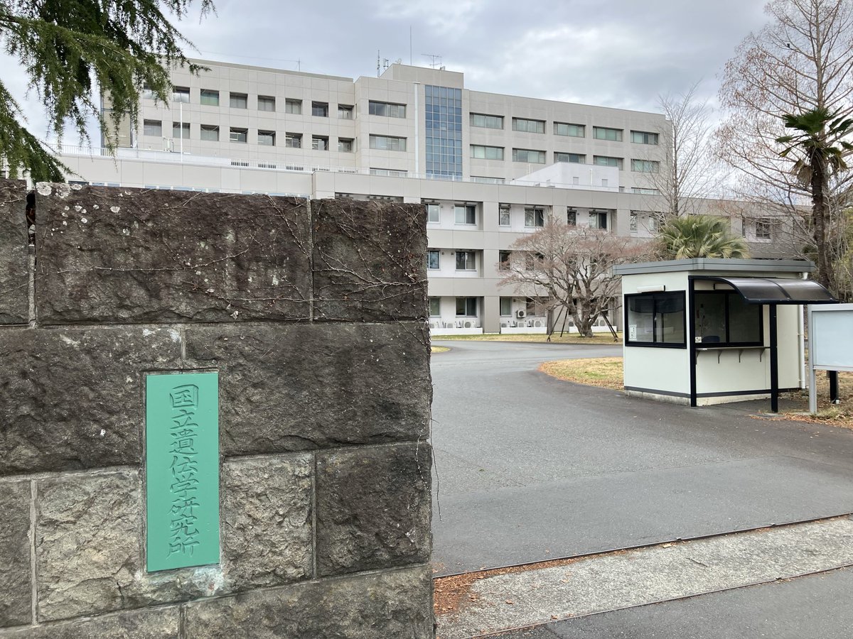 TanakaY_evodevo's tweet photo. 初遺伝研でした https://t.co/irC2jt6165