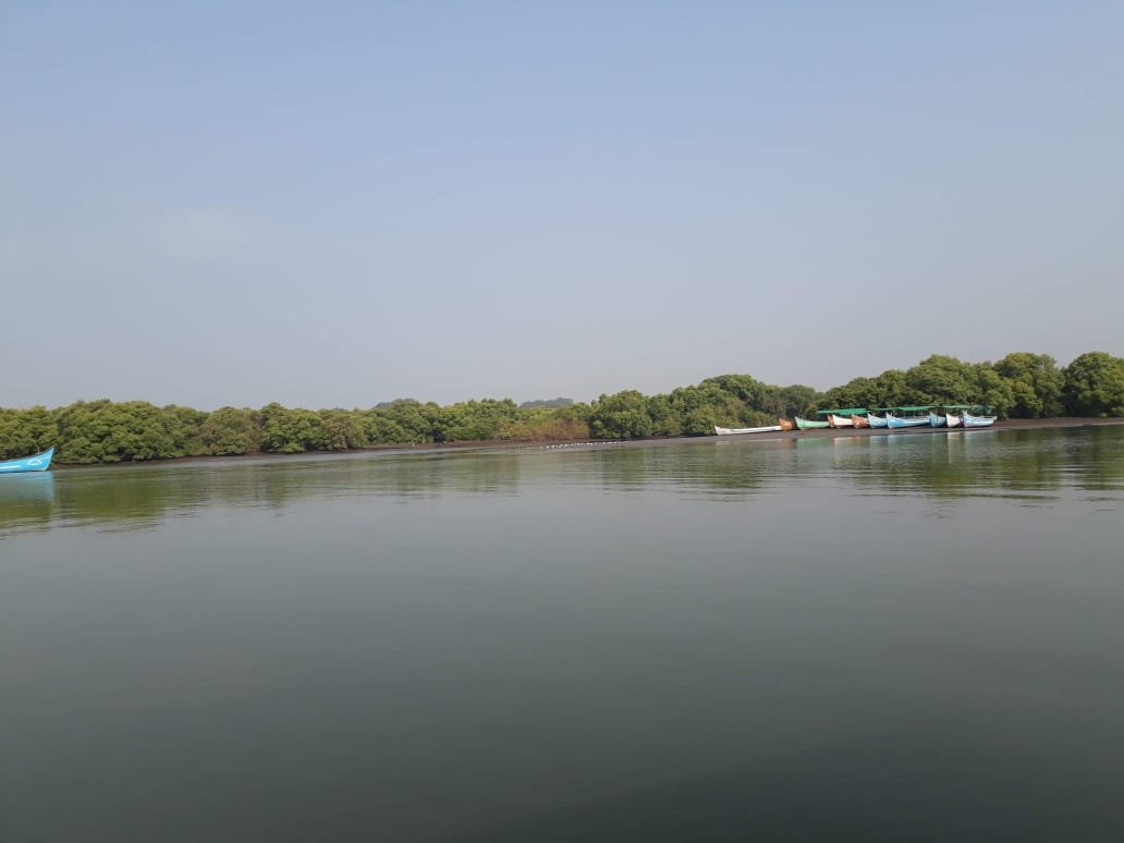 National Authority, CAMPA, MoEF&CC, GoI tweet media