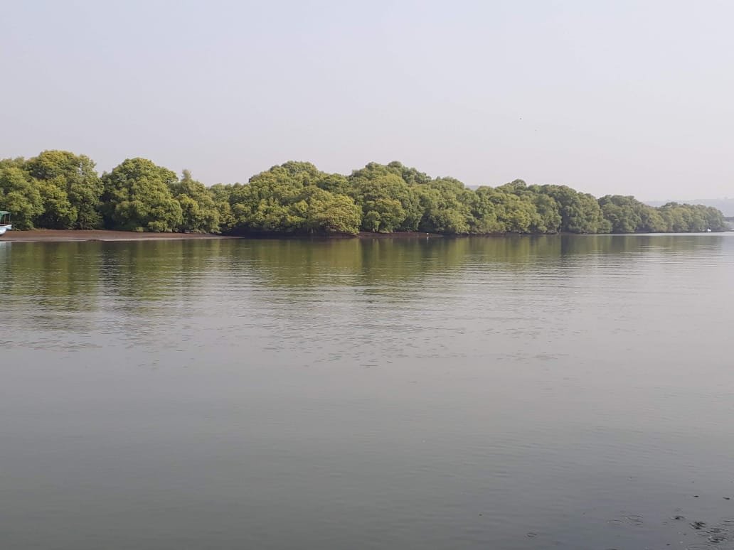 National Authority, CAMPA, MoEF&CC, GoI tweet media