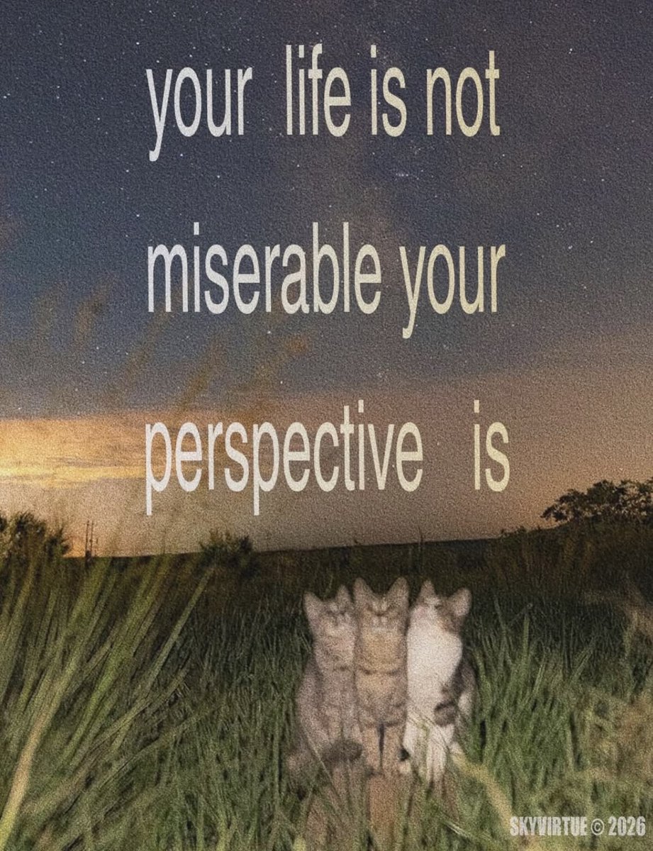 Cat Posted tweet media