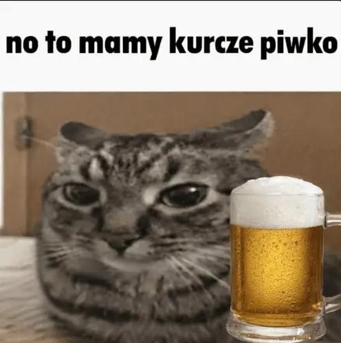 Bosniaczyca's tweet photo. https://t.co/W4kNgYRypx