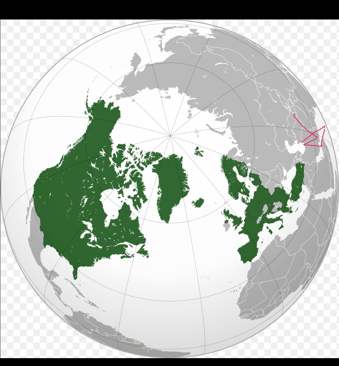 HRH Alexander I 👑 tweet media