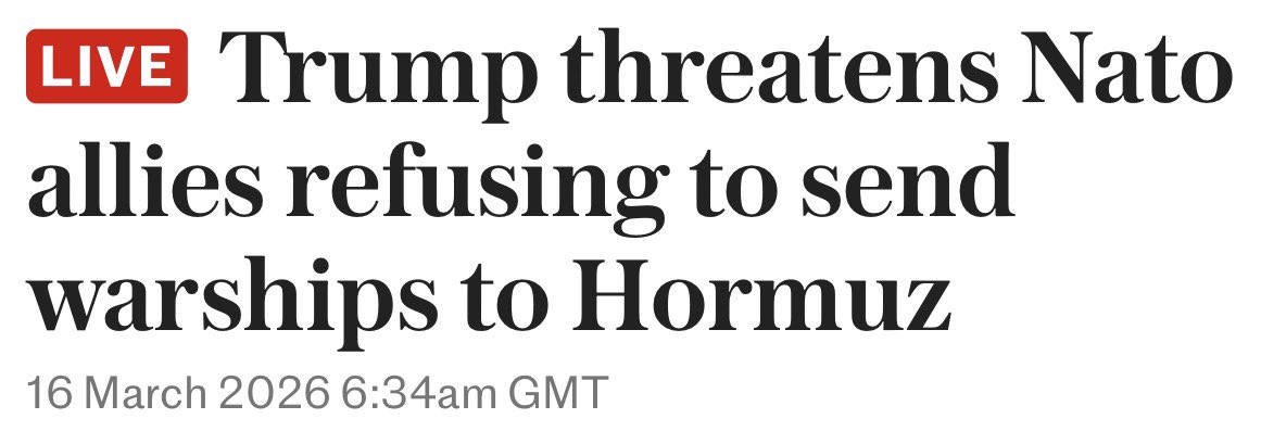 Wolf 🐺 tweet media