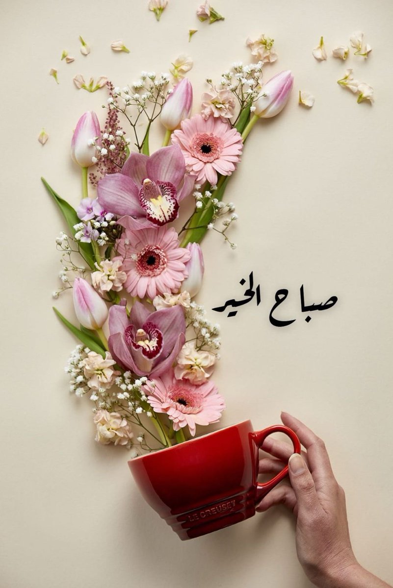لكل مقاوم
 يقاوم الشر  وينشر الخير في زمن الاستهتار بارواح الشعوب
لكل مقاوم يزرع الفرح بدل الحزن رغم ضيق الحال 
لكل مقاوم يمسك بيده سنبلا وسلاما رغم تحديات الحروب
 لكل مقاوم قلبه وطنه وكرامته الأنسانية.
#صباح_الخير.