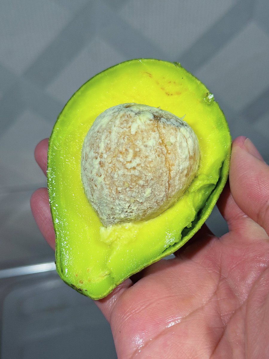 Яizal do tweet media