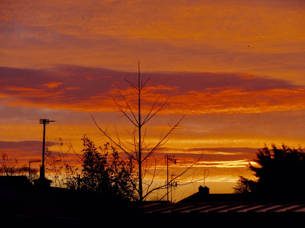 Susan Danielis Marshall tweet media