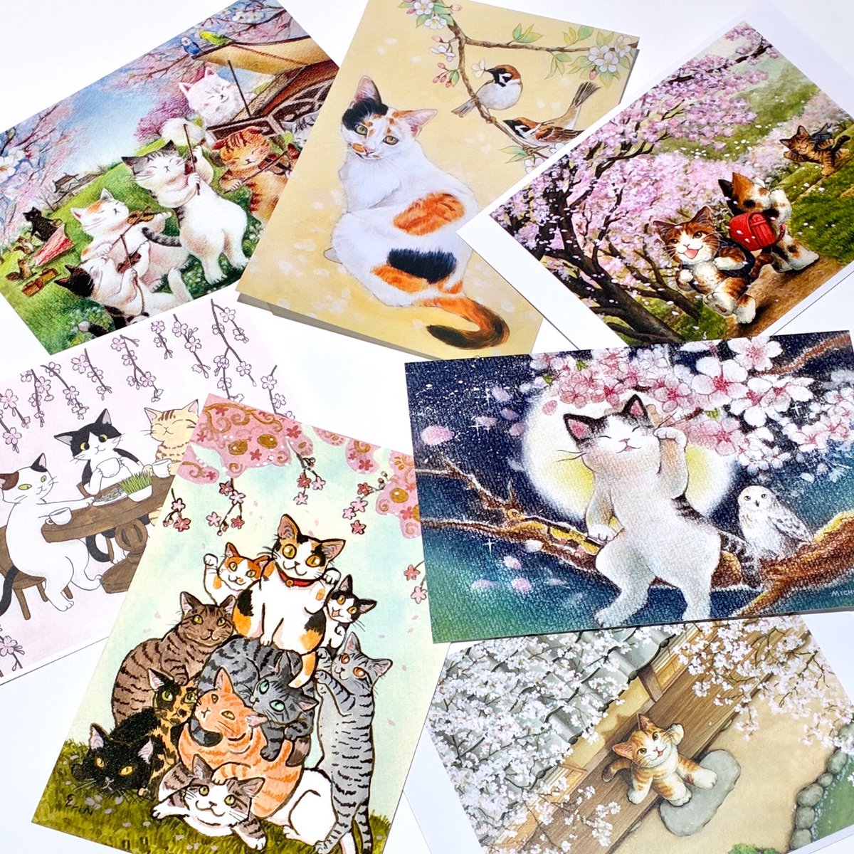 猫専門　またたび堂 tweet media