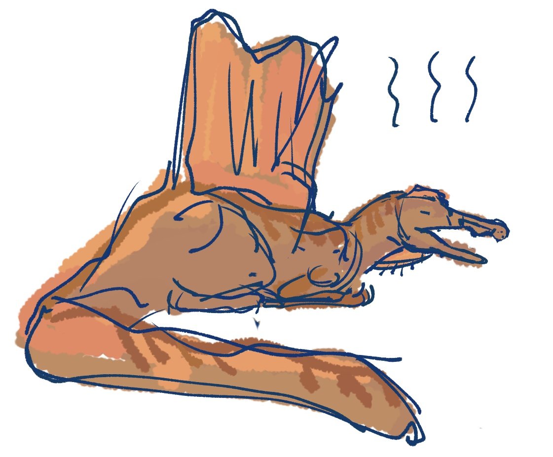 domi 🪤 tweet media