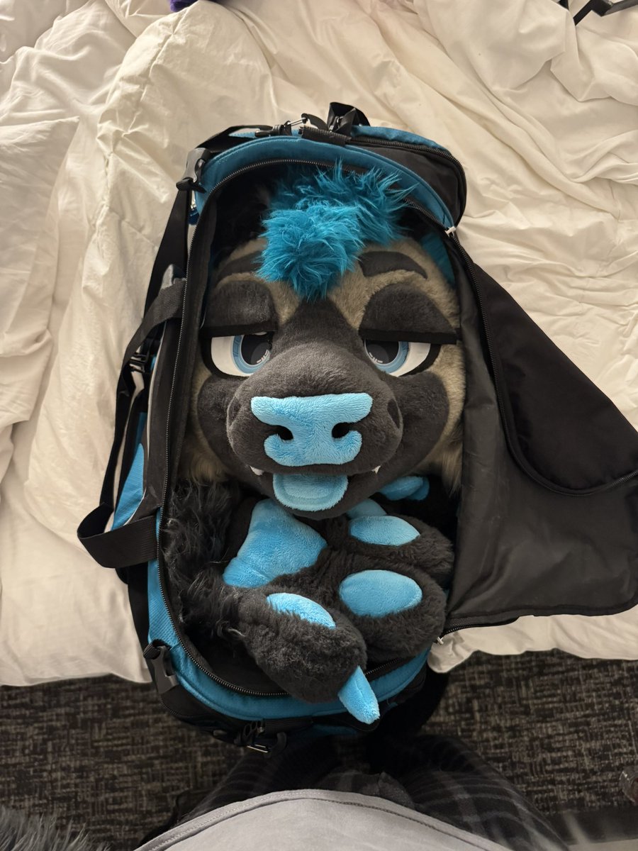 dashy 🔜 FWA, AC tweet media