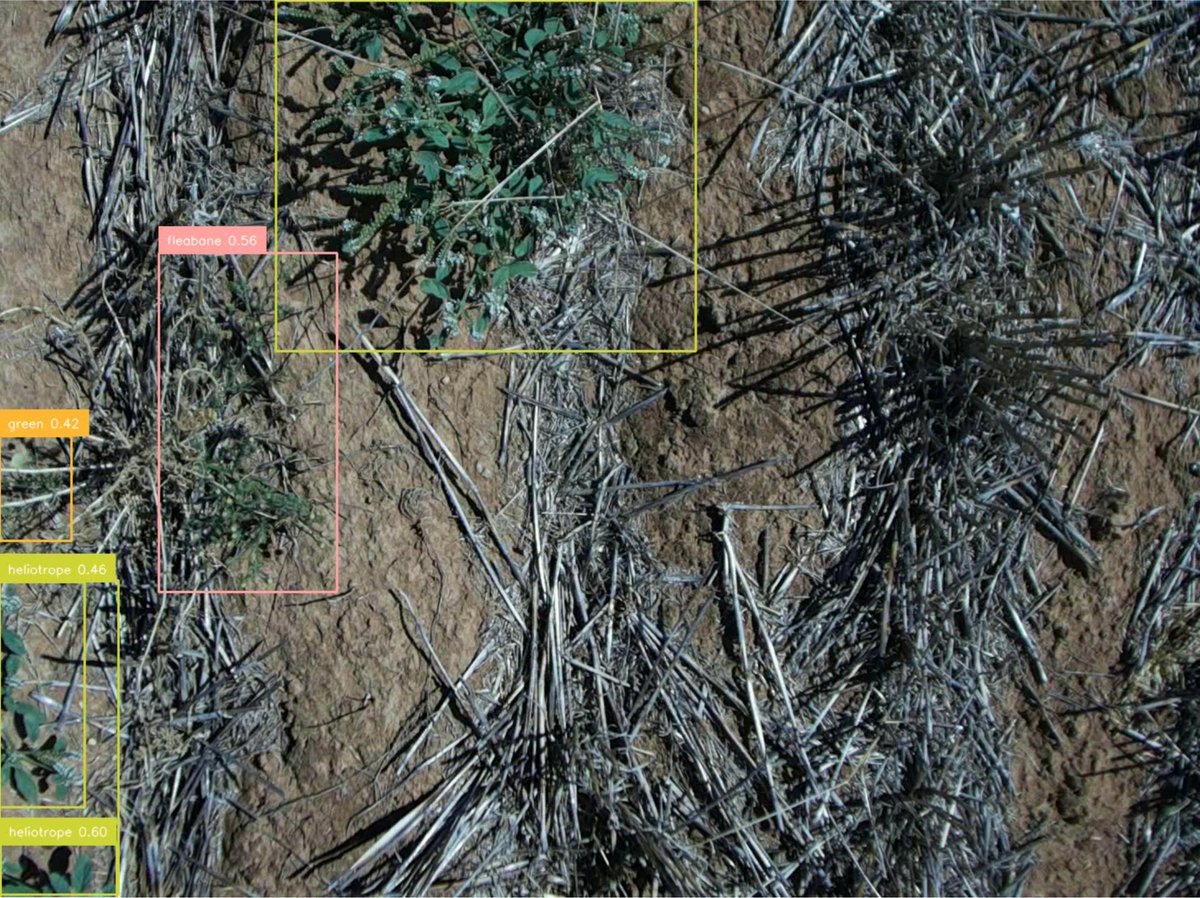 Brad Plant tweet media