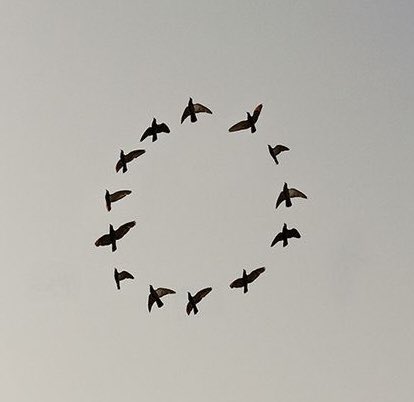 From Today, i go only rep0st who rep0st me. Like who like my own, and c0mment who c0mment my own. I no go dey do pass myself again.