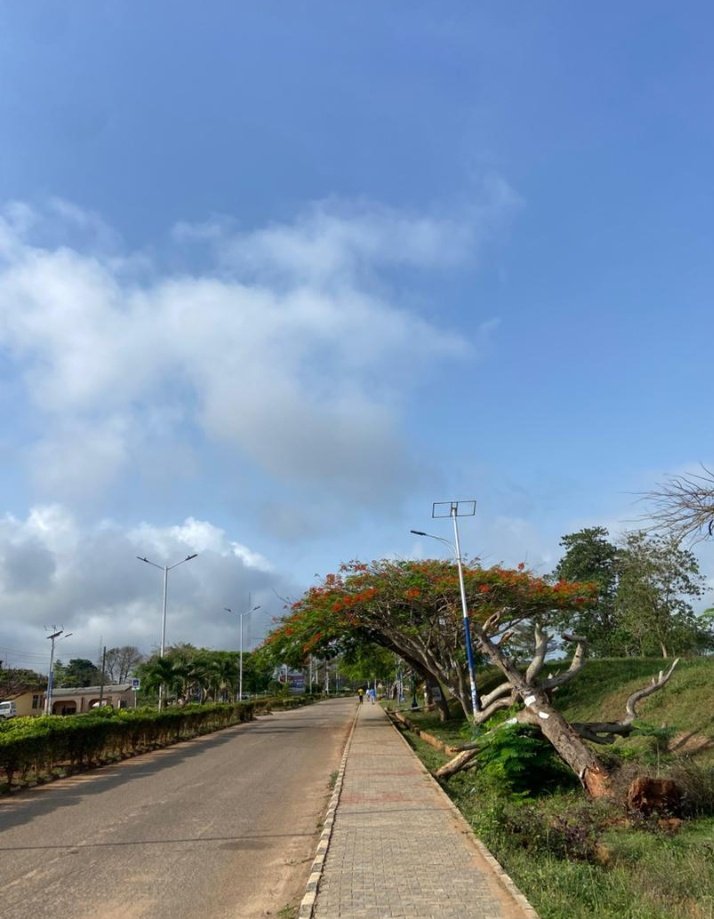 Vincent Crypt¥3° tweet media