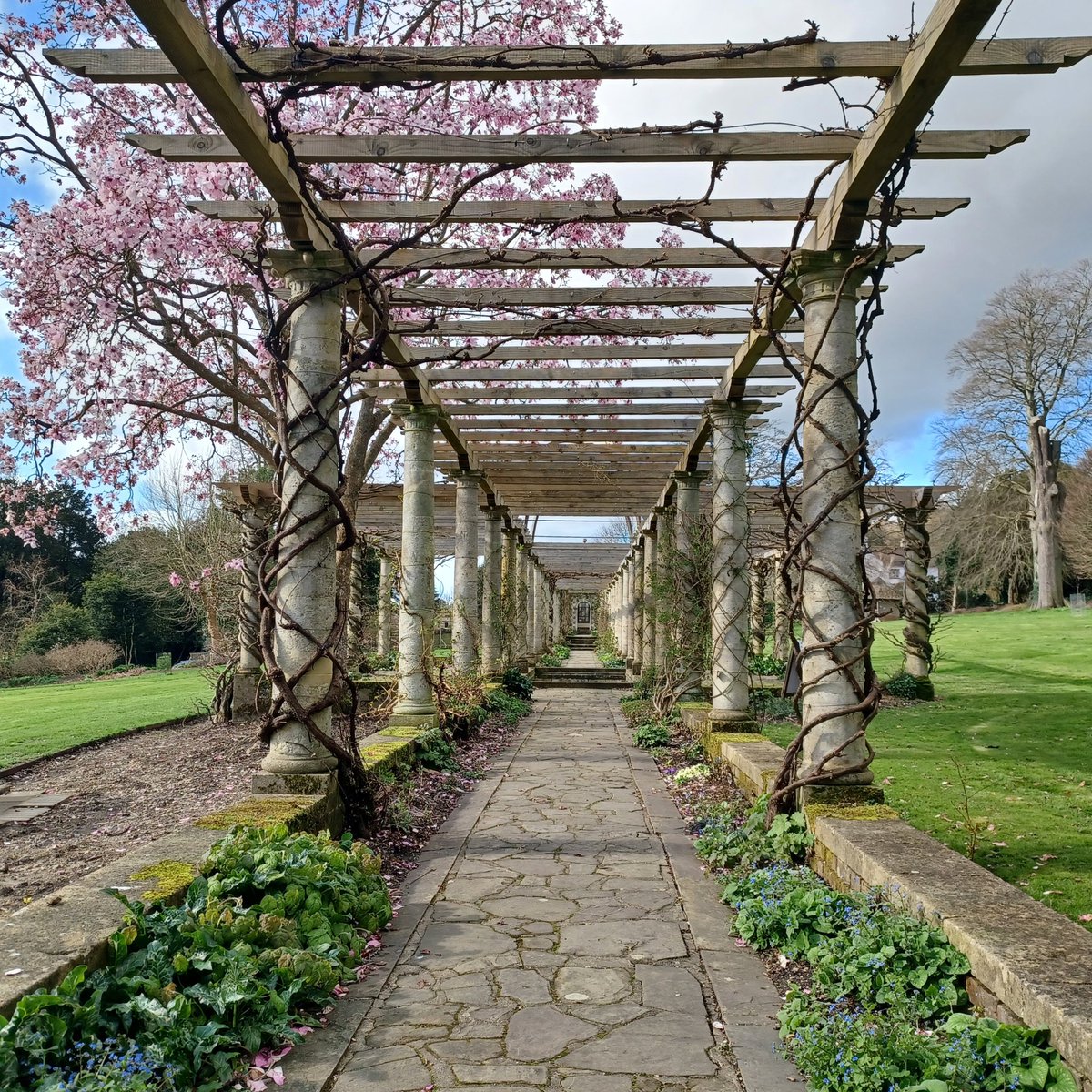 Ian Downes tweet media