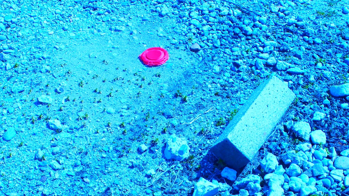 おりんぱすー E-PL6　白熱電球WB+ポップアート
ホワイトバランスを意図的に白熱電球して自然光で撮る青い世界　ブルーモノクロームに特定の色が浮かび出る
# マイクロフォーサーズ