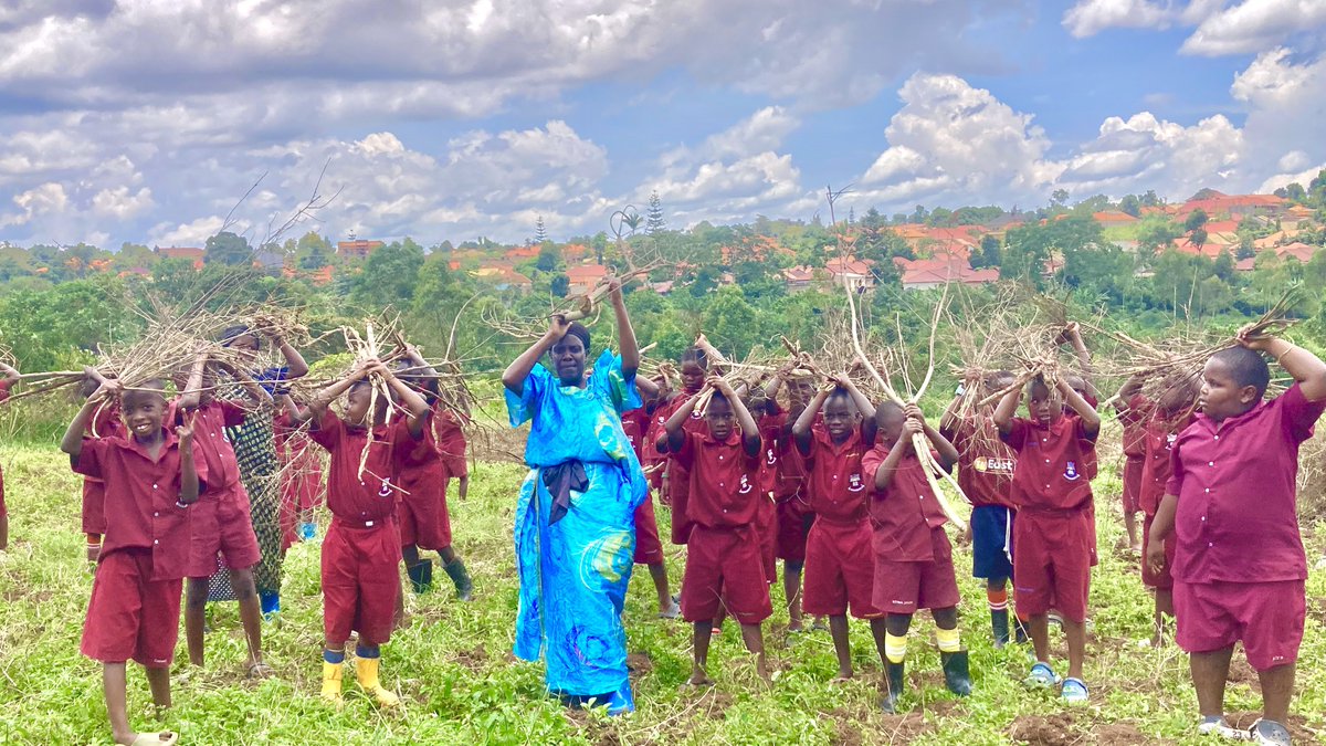 Seeta Parents Primary School tweet media