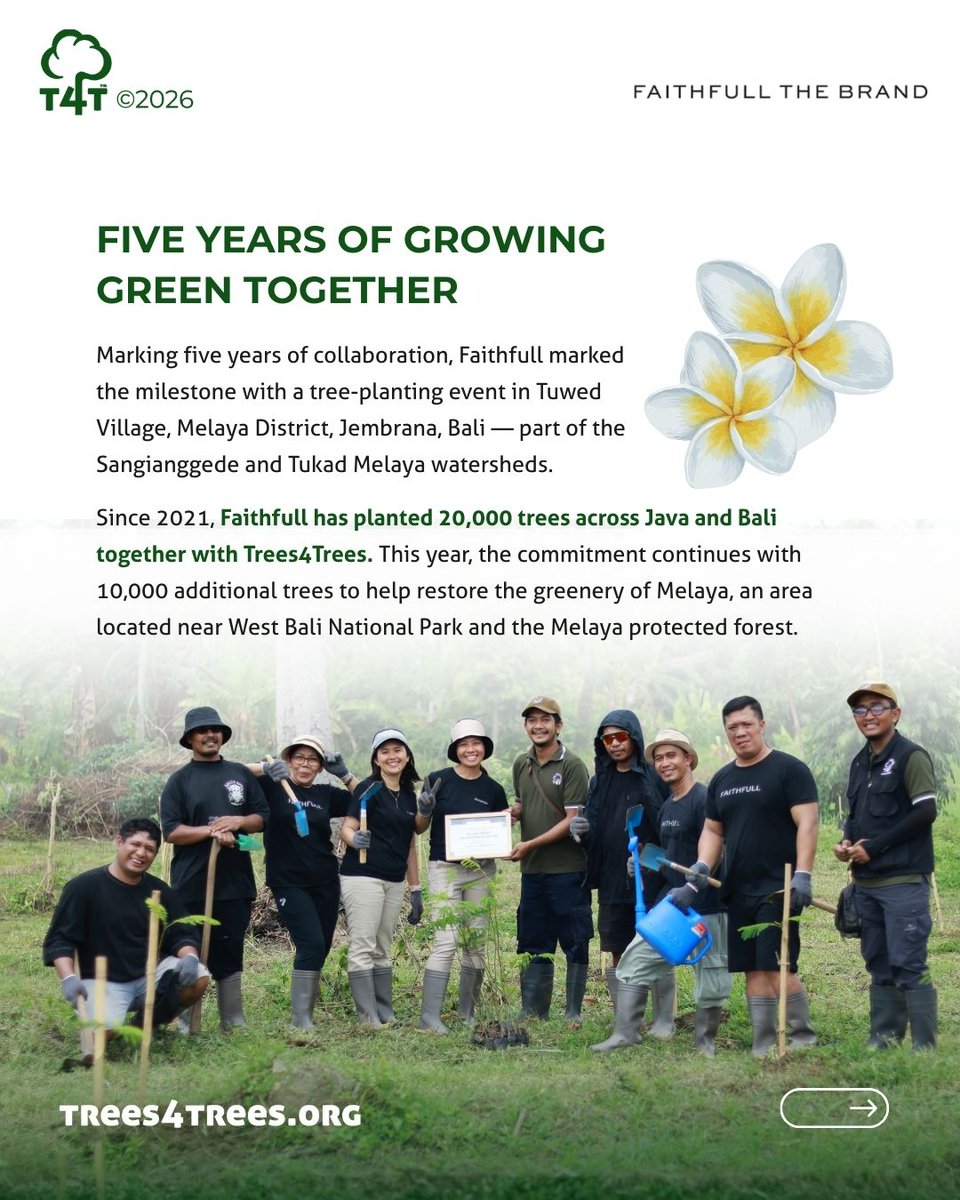 Trees4Trees tweet media