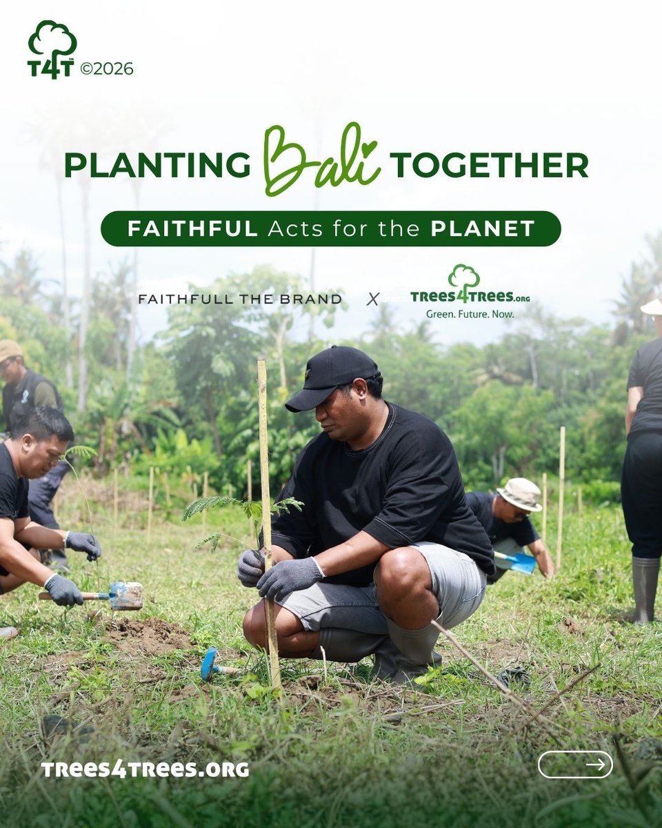 Trees4Trees tweet media