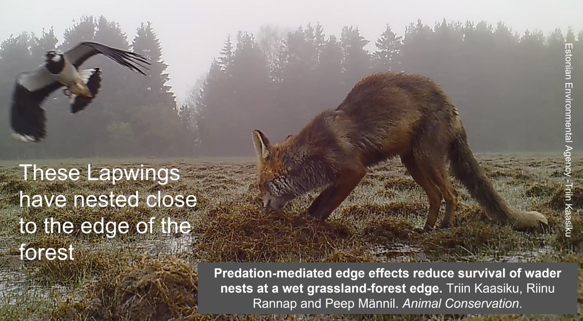 Graham Appleton tweet media