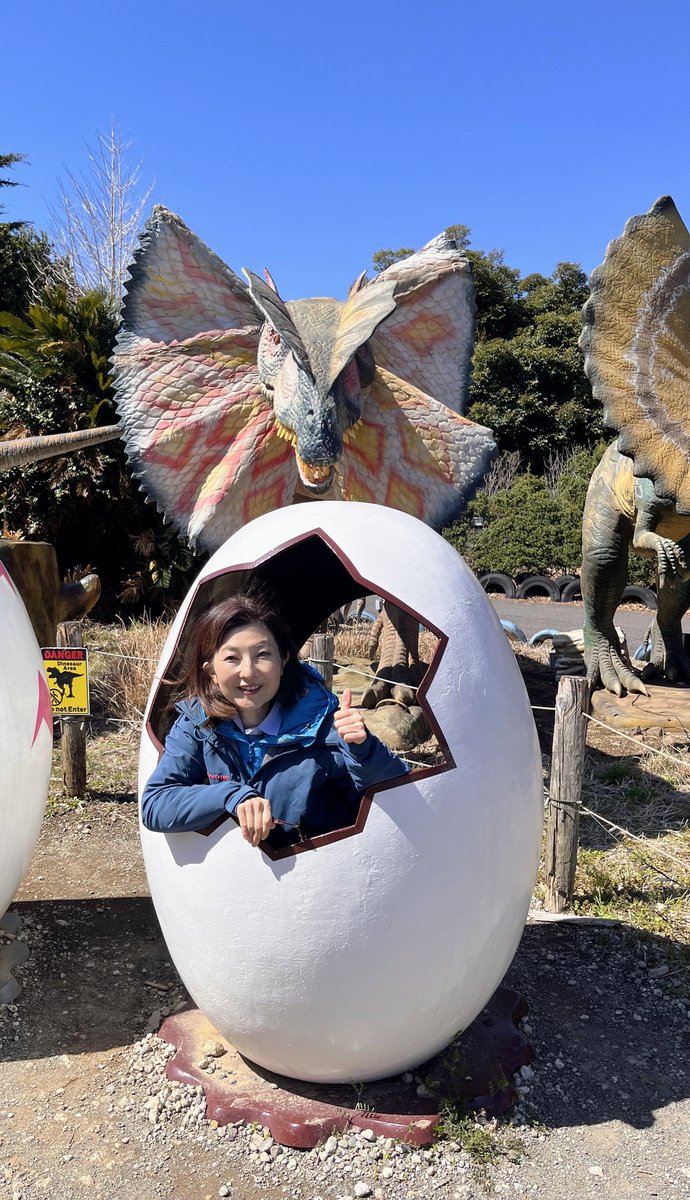 舘　素子@行政書士 tweet media