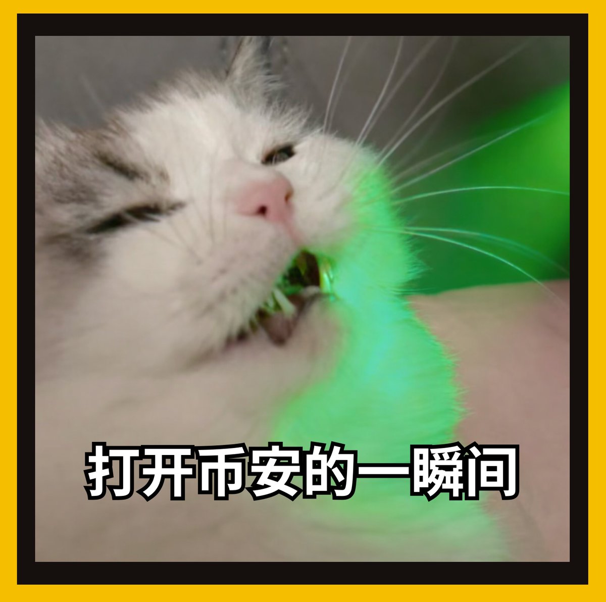 币安Binance华语 tweet media