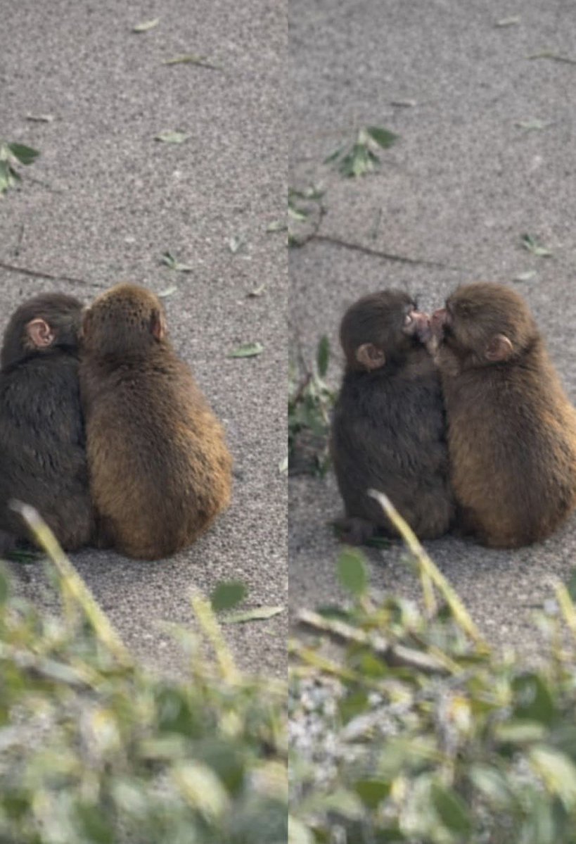 Vanda...❤ tweet media