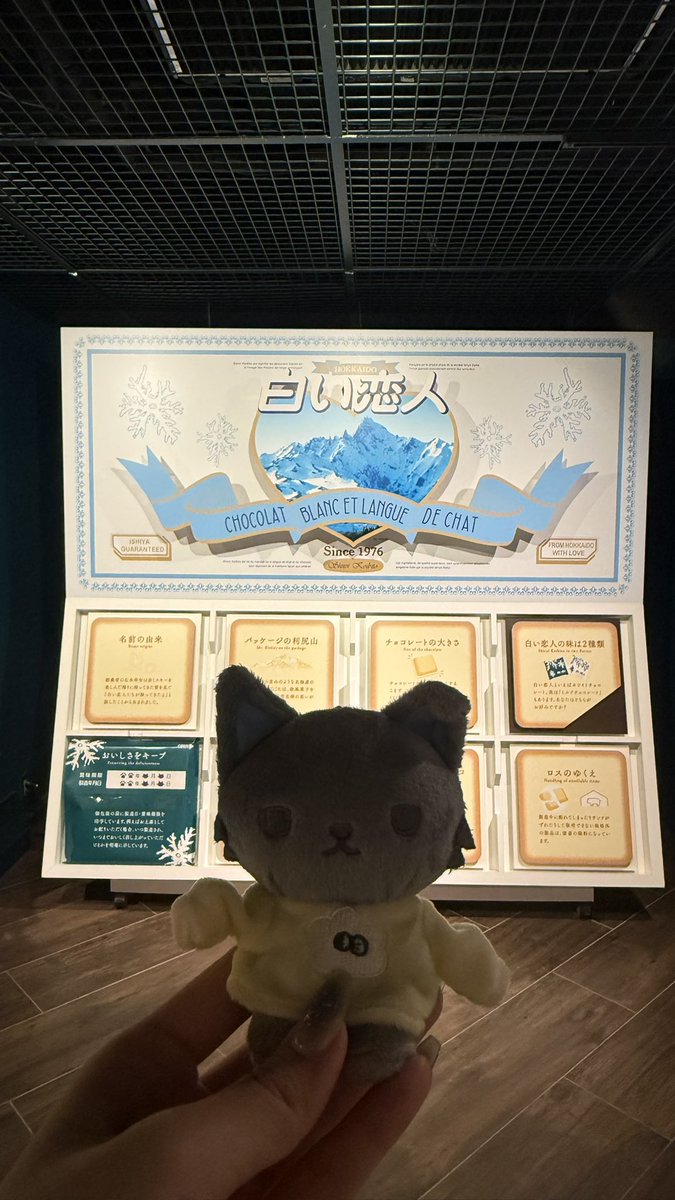 𝑴𝒊 tweet media