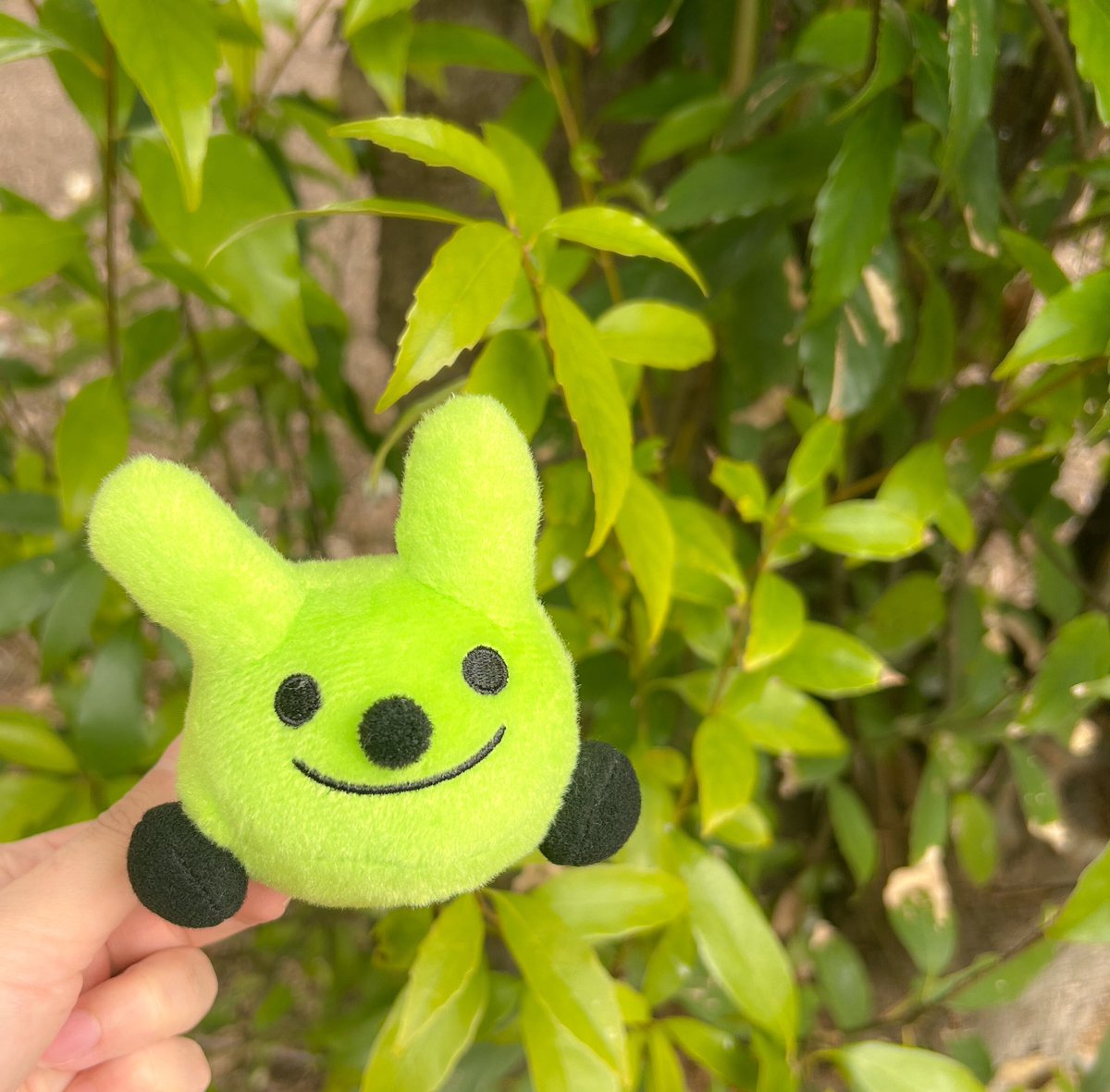 ラビット【公式】中古車買取・販売 tweet media