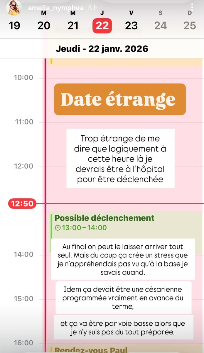 Amelia Cassos tweet media