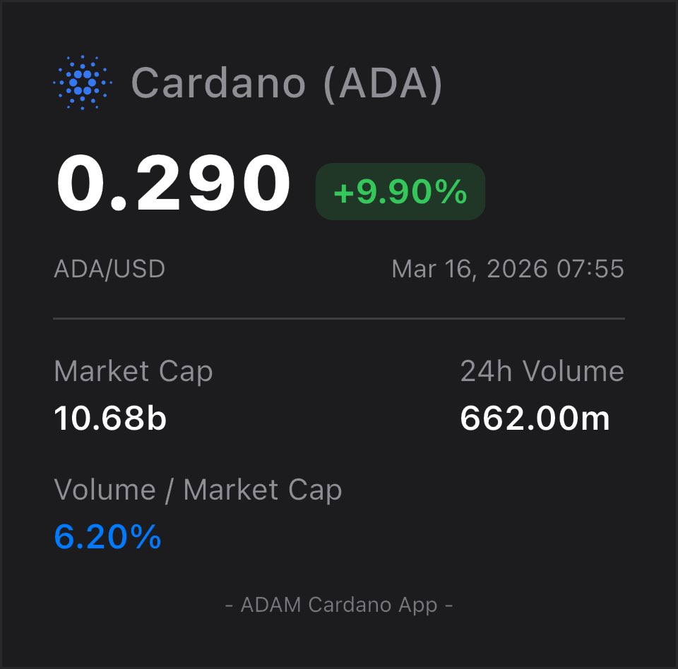 AndroDevs tweet media