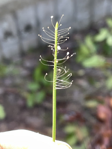 jun yamab tweet media