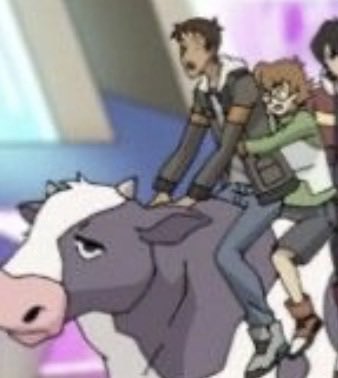 ✮⋆˙ tweet media