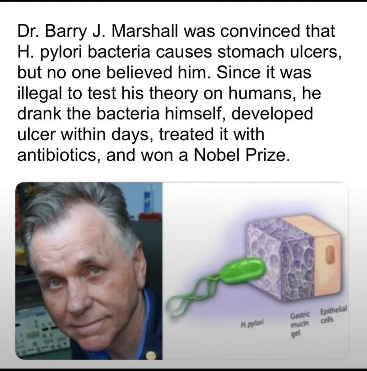 Sandra Swart tweet media