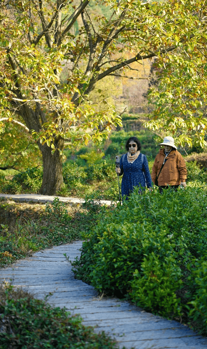 COLLIN SMITH tweet media