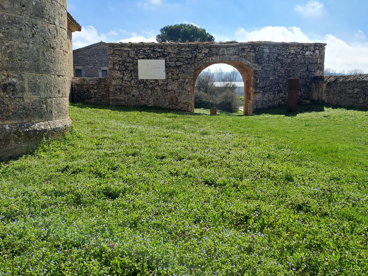 AVillamoron's tweet image. #Marzo es como un umbral: un mes de #transición entre el adiós al oscuro #invierno y la irrupción de la luminosa #primavera. Es un mes de cambios, de aprovechar para disfrutar de los últimos productos invernales de las #huertas que aún se cultivan en #Villegas y #Villamorón.