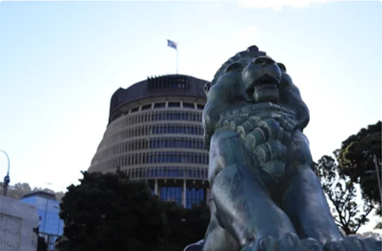 Women's Rights Party NZ tweet media