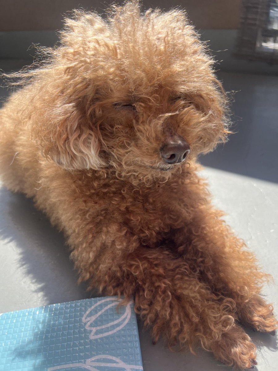 🌸2011.10.11（14歳5ヶ月） tweet media