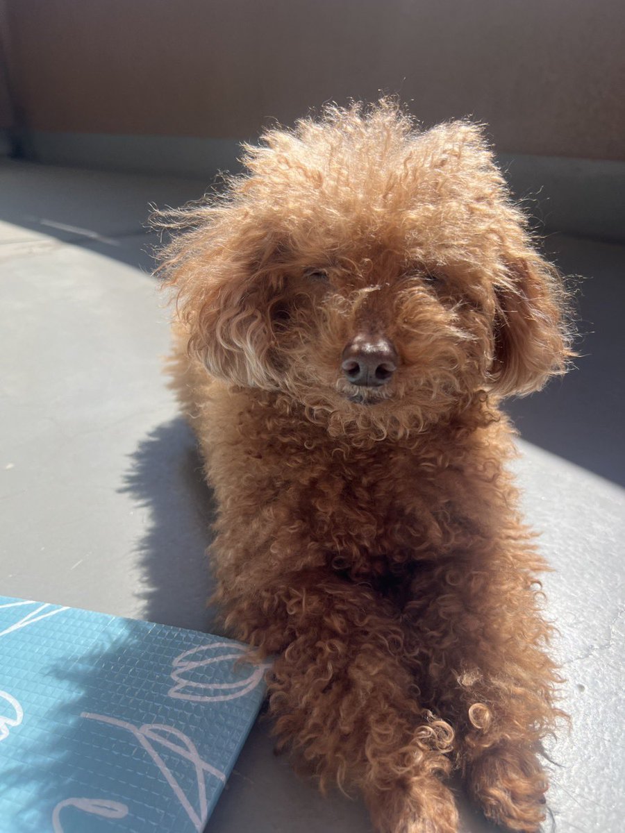 🌸2011.10.11（14歳5ヶ月） tweet media