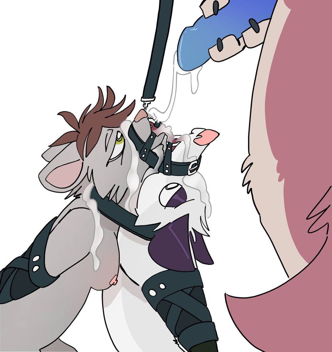 mirt the possum tweet media