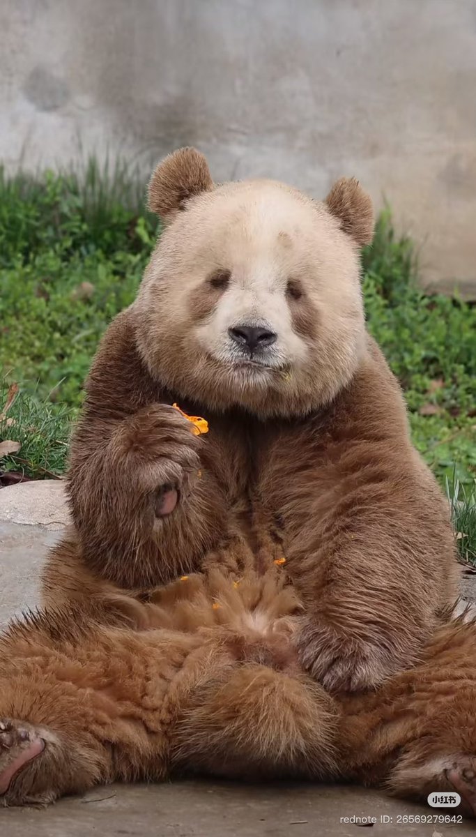 ดูใจดีจังเลย แต่กัดหู