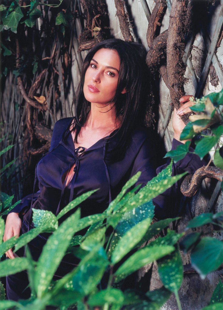 Monica Bellucci tweet media