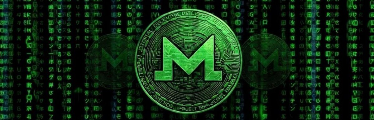 white rabbit tracker tweet media