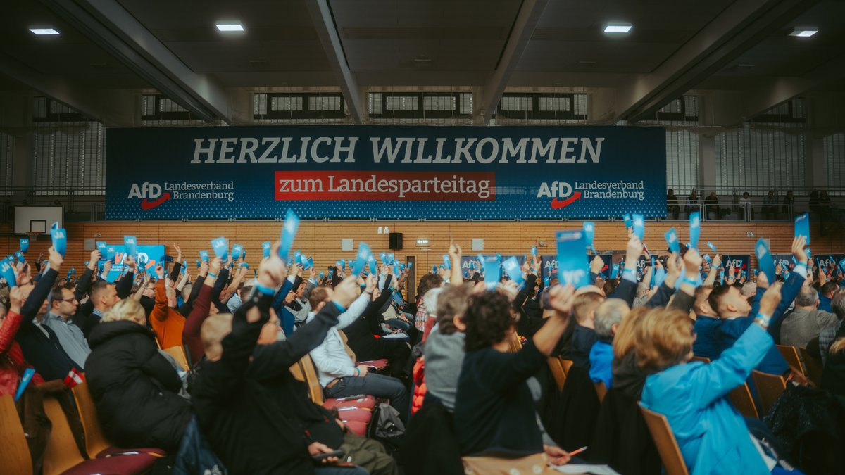 AfD Brandenburg tweet media