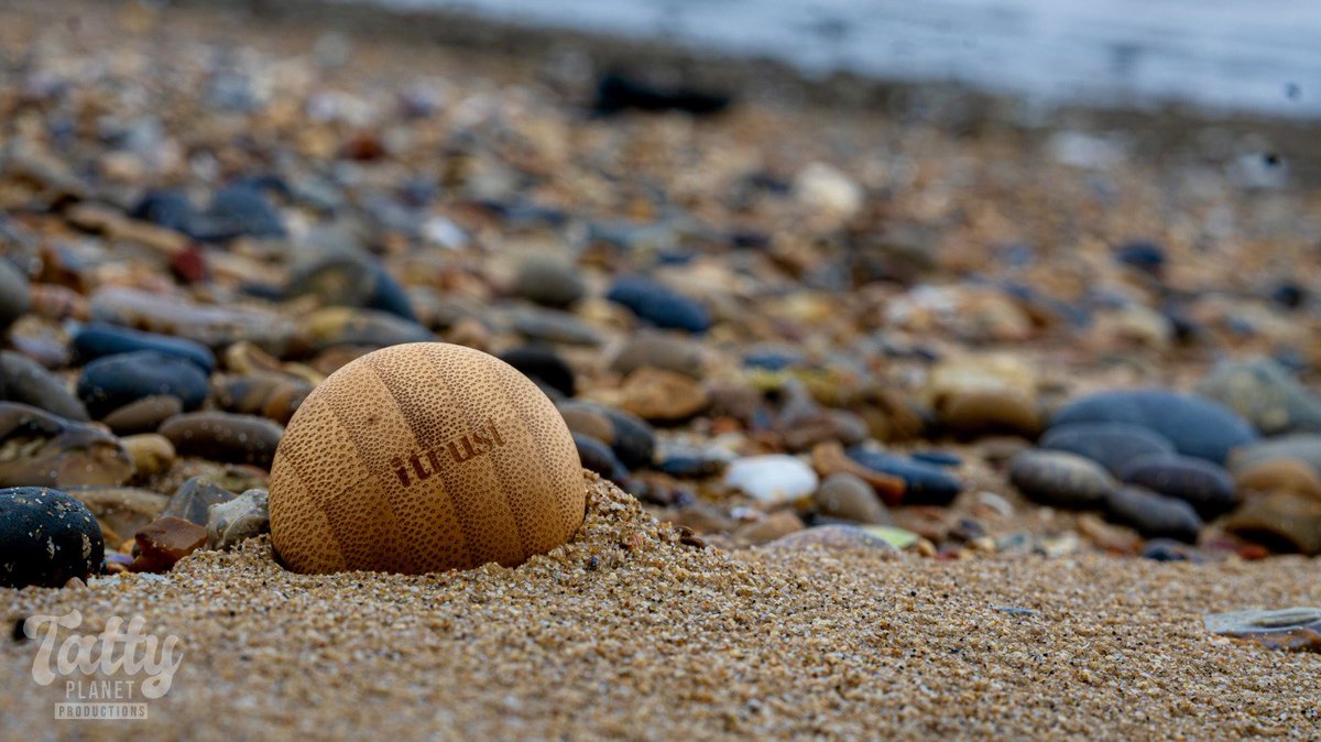 iTrust • The Speak Up Specialists tweet media