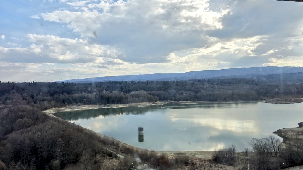 Tory Jam 🇺🇦🕊️ tweet media